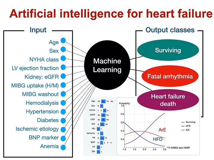 机器学习使用13个输入数据来预测致命性心律失常（心源性猝死），心衰死亡和生存。